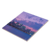 北米、米国、IL。夕暮れ時のシカゴスカイライン タイル (側面)