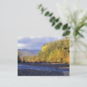 北米、米国、NH、サコ川。コブル ポストカード (スタンド正面)