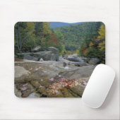 北米、米国、NH、ニュー秋の葉 マウスパッド (マウス)