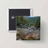 北米、米国、NH、ニュー秋の葉 缶バッジ (正面&裏面)