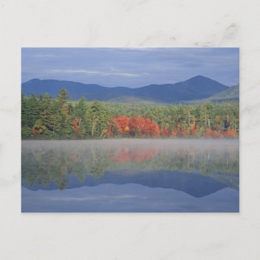 北米、米国、NH、秋反射 ポストカード (正面)