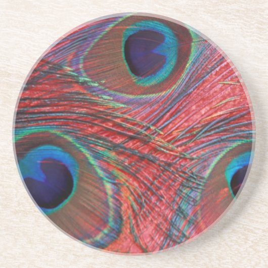 北米、米国、WA、レドモンド、ピーコック コースター (正面)