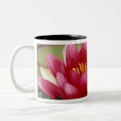 北米， USA, WA，シアトル，ウッドランドパーク ツートーンマグカップ (左)