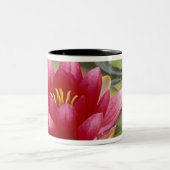 北米， USA, WA，シアトル，ウッドランドパーク ツートーンマグカップ (中央)