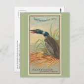 北素晴らしダイバー ポストカード (正面/裏面)