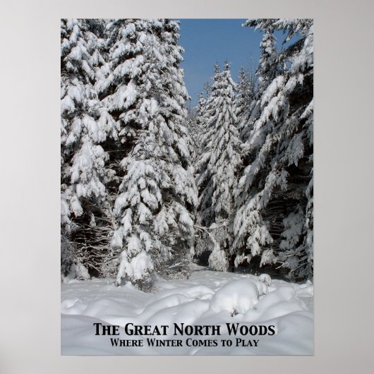 北素晴らし林来遊地 ポスター (正面)