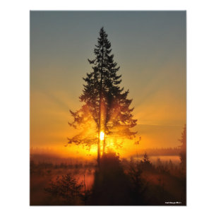 北西の16X20日素晴らし出 フォトプリント