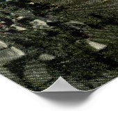 北通り、ピッツフィールド1912ヴィンテージ ポスター (角)