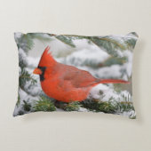 北部の(鳥)ショウジョウコウカンチョウで冬のバルサムモミの木 アクセントクッション (裏面)