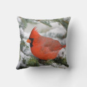 北部の（鳥）ショウジョウコウカンチョウで冬のバルサムモミの木 クッション (裏面)