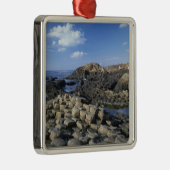 北部アントリム郡ジャイアンツコーズウェイ メタルオーナメント (右)