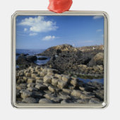 北部アントリム郡ジャイアンツコーズウェイ メタルオーナメント (正面)