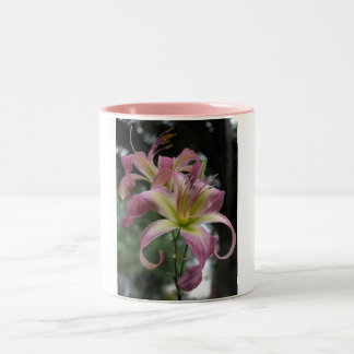 北風のダンサー ツートーンマグカップ