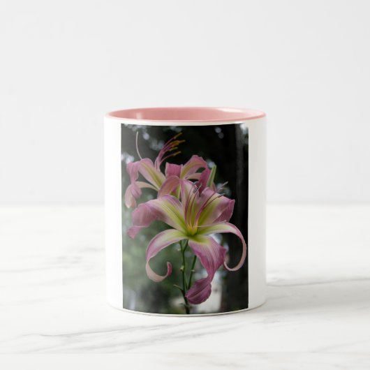 北風のダンサー ツートーンマグカップ (中央)