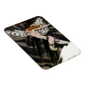 北風 マグネット (右側)