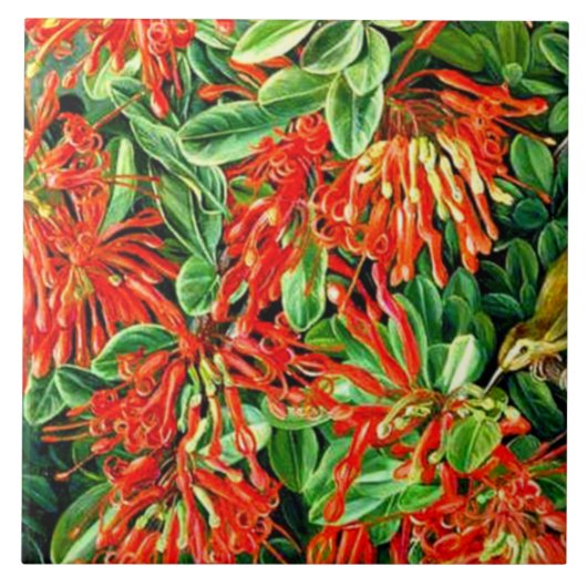 北 – チリの燃焼ブッシュとEmuウォレン タイル (正面)