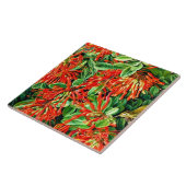 北 – チリの燃焼ブッシュとEmuウォレン タイル (側面)