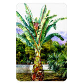 北 – テネリフェの庭にアビシニアン・エンセテ マグネット (縦)