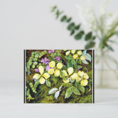 北 – ハナミズキの花と藍 ポストカード (スタンド正面)