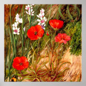 北 – 南アフリカの夕露 ポスター (正面)