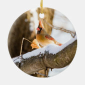 北（女性）（鳥）ショウジョウコウカンチョウ |セラミックオーナメント セラミックオーナメント (裏面)