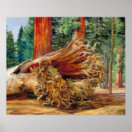 北 – 巨大なカラベラス落ちたグローブカリフォルニア ポスター