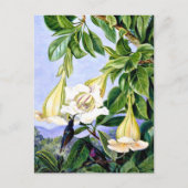 北 – 熱帯アメリカの葉と花 ポストカード (正面)