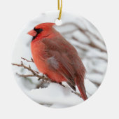 北（男性）（鳥）ショウジョウコウカンチョウ |セラミックオーナメント セラミックオーナメント (正面)