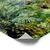 北 – 西オーストラリアの森の風景 ポスター (角)