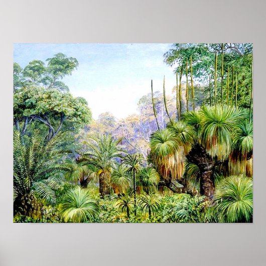 北 – 西オーストラリアの森の風景 ポスター (正面)