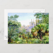 北 – 西オーストラリアの森の風景 ポストカード (正面/裏面)