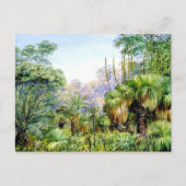 北 – 西オーストラリアの森の風景 ポストカード (正面)