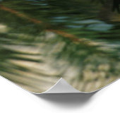 北（鳥）ショウジョウコウカンチョウの木，イリノイ ポスター (角)