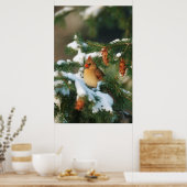 北（鳥）ショウジョウコウカンチョウの木，イリノイ ポスター (キッチン)