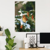 北（鳥）ショウジョウコウカンチョウの木，イリノイ ポスター (ホームオフィス)