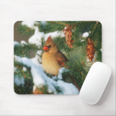 北（鳥）ショウジョウコウカンチョウの木，イリノイ マウスパッド (マウス)