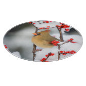 北(鳥)ショウジョウコウカンチョウの雌がコモン・ウィンターベリー カッティングボード (角)