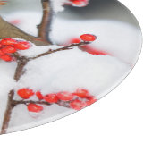 北(鳥)ショウジョウコウカンチョウの雌がコモン・ウィンターベリー カッティングボード (角)