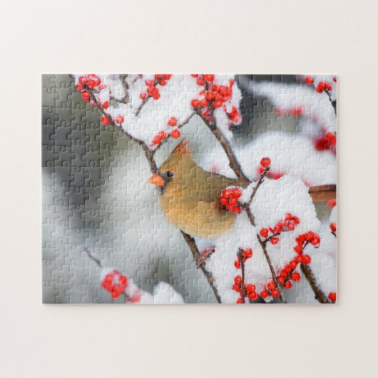 北(鳥)ショウジョウコウカンチョウの雌がコモン・ウィンターベリー ジグソーパズル (横)