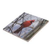 北（鳥）ショウジョウコウカンチョウの霧の朝 タイル (側面)