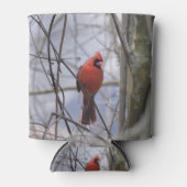 北（鳥）ショウジョウコウカンチョウの霧の朝 缶クーラー (正面)