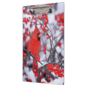 北（鳥）ショウジョウコウカンチョウオス、冬、IL クリップボード (左)