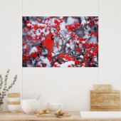 北(鳥)ショウジョウコウカンチョウオス、冬、IL ポスター (キッチン)