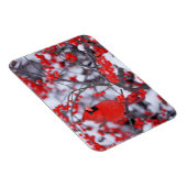 北(鳥)ショウジョウコウカンチョウオス、冬、IL マグネット (右側)