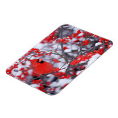 北(鳥)ショウジョウコウカンチョウオス、冬、IL マグネット (左側)