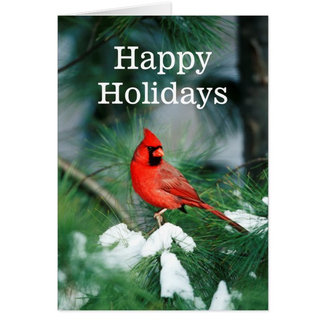 北（鳥）ショウジョウコウカンチョウオス（木）、IL (正面)