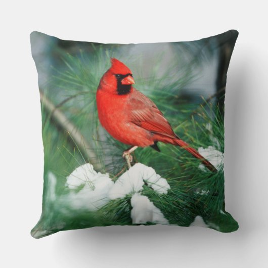 北(鳥)ショウジョウコウカンチョウオス(木)、IL クッション (裏面)