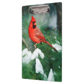 北(鳥)ショウジョウコウカンチョウオス(木)、IL クリップボード (左)