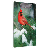 北(鳥)ショウジョウコウカンチョウオス(木)、IL クリップボード (右)