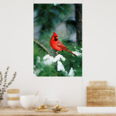 北（鳥）ショウジョウコウカンチョウオス（木）、IL ポスター (キッチン)